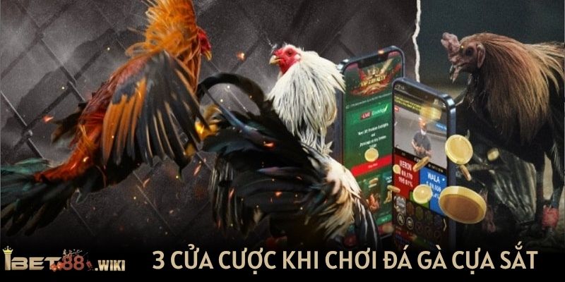 3 cửa cược cơ bản khi chơi đá gà cựa sắt tại IBET88