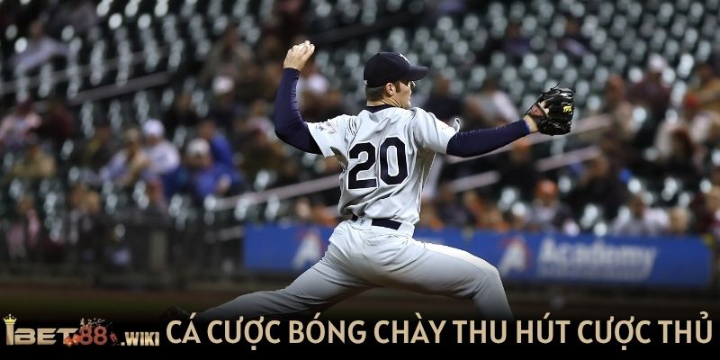 Cá cược bóng chày thu hút hàng ngàn cược thủ IBET88