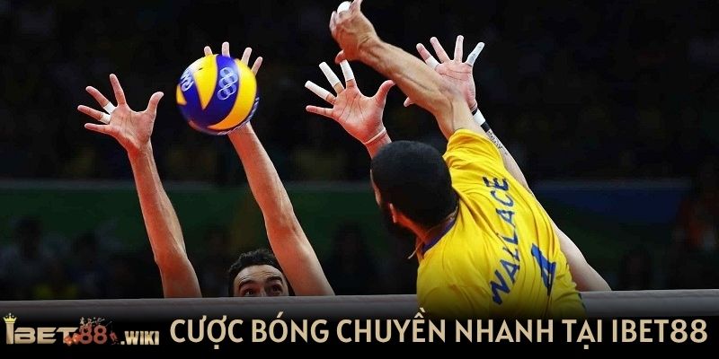 Cá cược bóng chuyền nhanh chóng tại IBET88