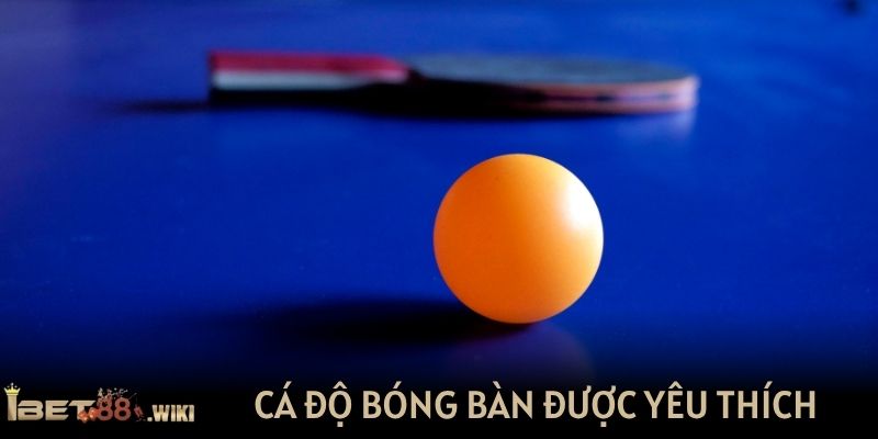 Cá độ bóng bàn được yêu thích tại IBET88