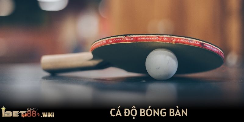 Cá độ bóng bàn