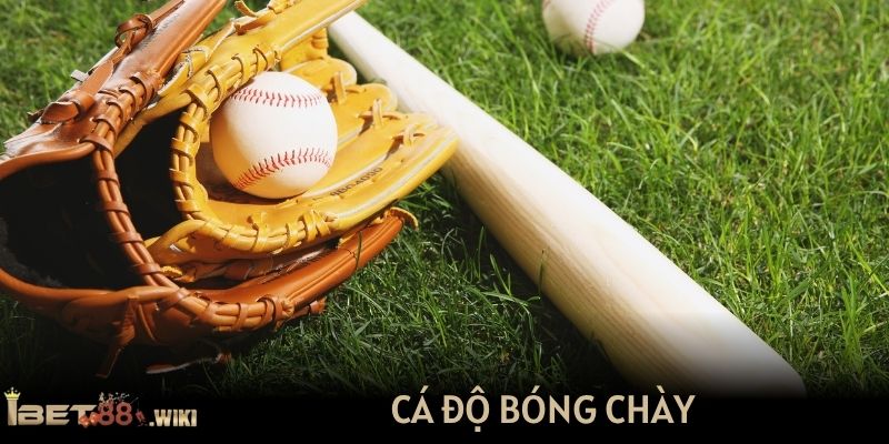 cá độ bóng chày