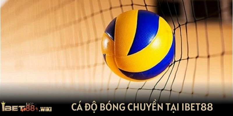 Cá độ bóng chuyền được yêu thích tại IBET88