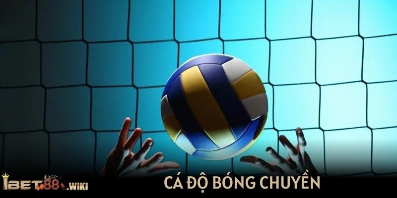 Cá độ bóng chuyền