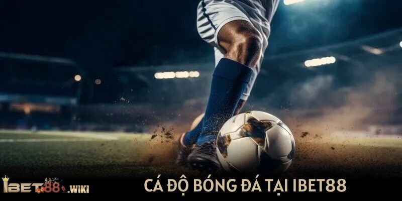 Cá độ bóng đá tại IBET88 với hàng trăm trận đấu