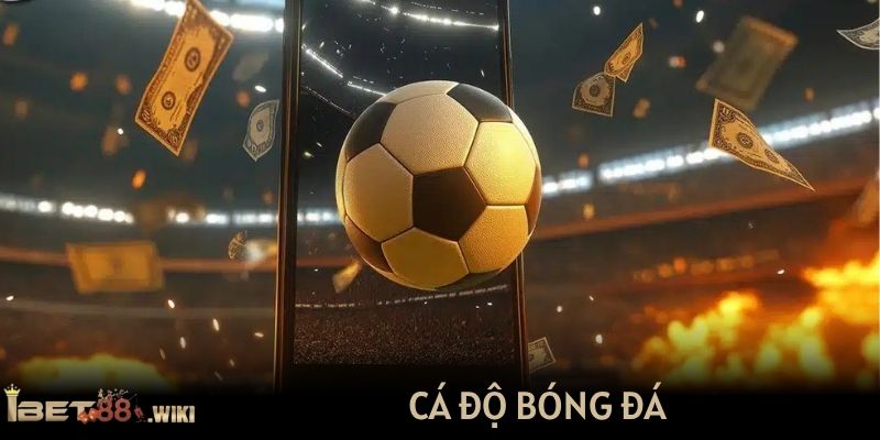 Cá độ bóng đá