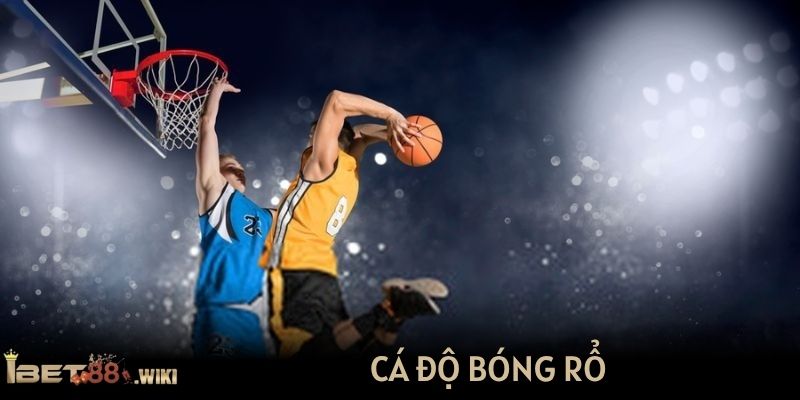 Cá độ bóng rổ