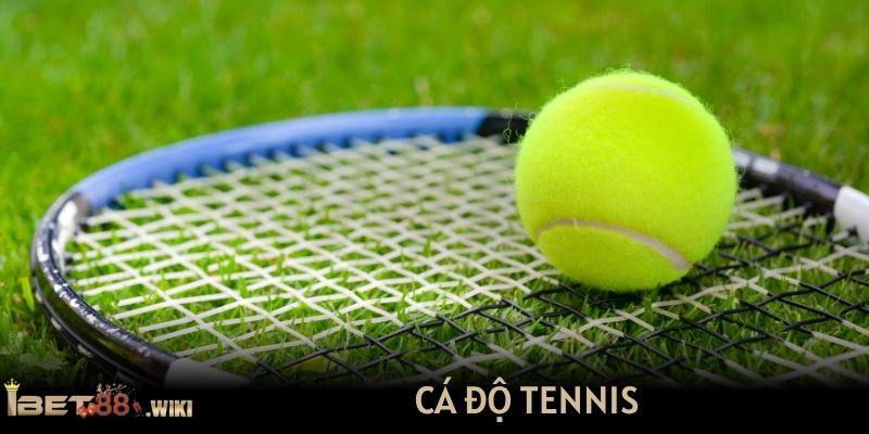 Cá độ tennis