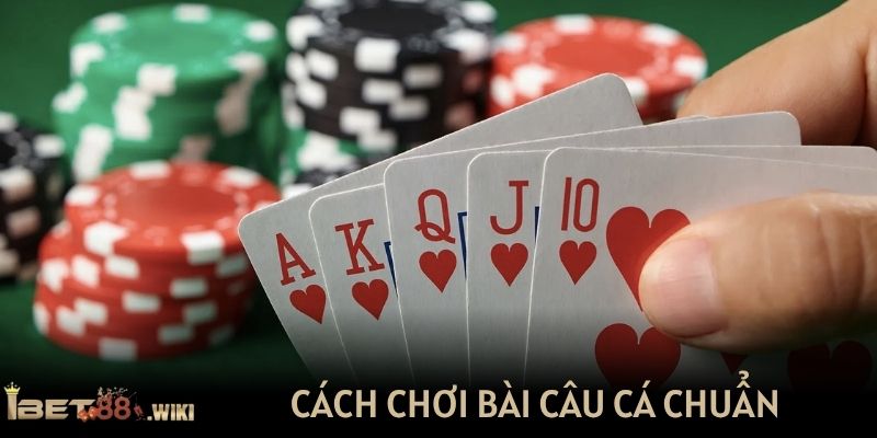 Cách chơi bài câu cá chuẩn