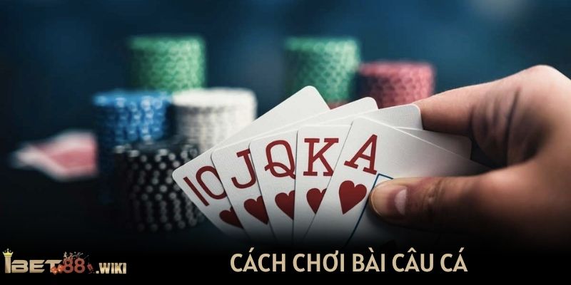 cách chơi bài câu cá