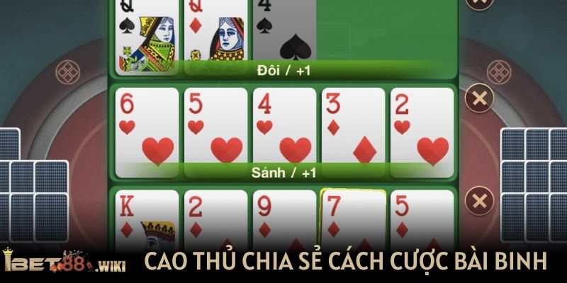 Cao thủ chia sẻ cách cược bài binh