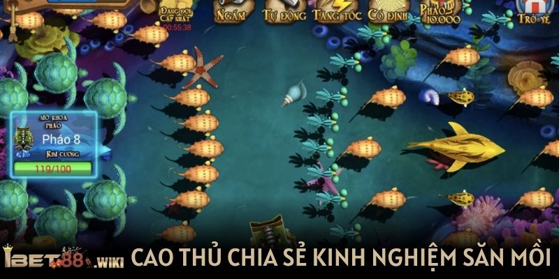 Cao thủ chia sẻ kinh nghiệm săn mồi