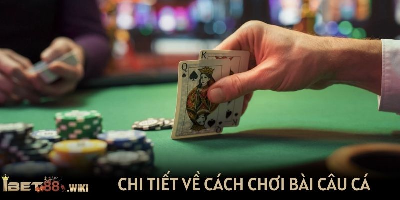 Chi tiết về cách chơi bài câu cá