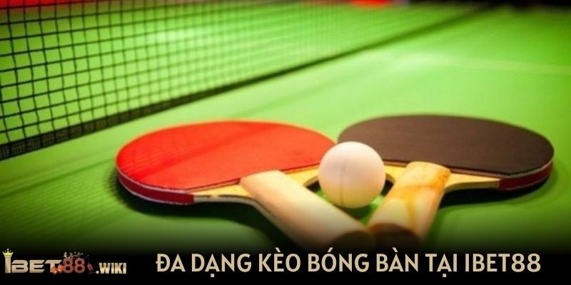 Đa dạng kèo cá cược bóng bàn có mặt tại IBET88