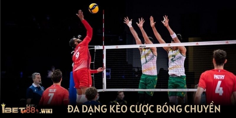 Đa dạng kèo cược bóng chuyền tại IBET88