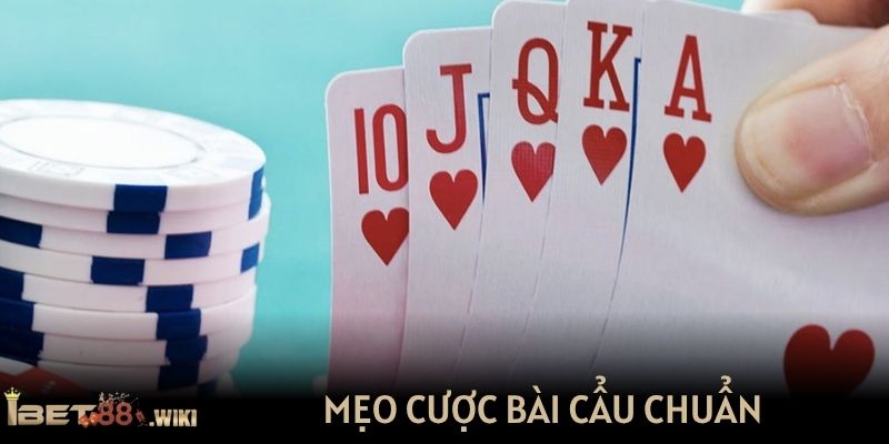 Mẹo cược bài cẩu chuẩn