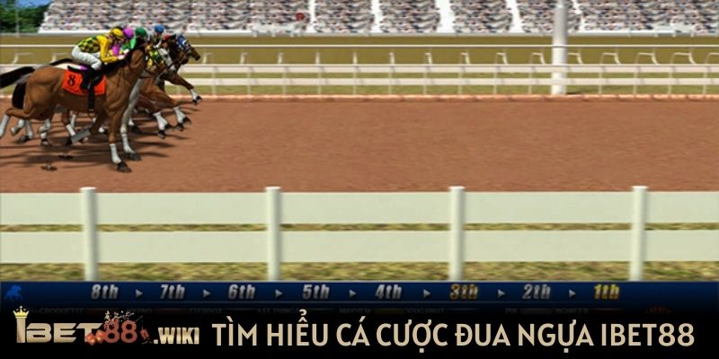 Tìm hiểu sản phẩm cá cược đua ngựa Ibet88