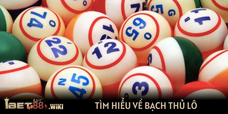 Tìm hiểu về bạch thủ lô