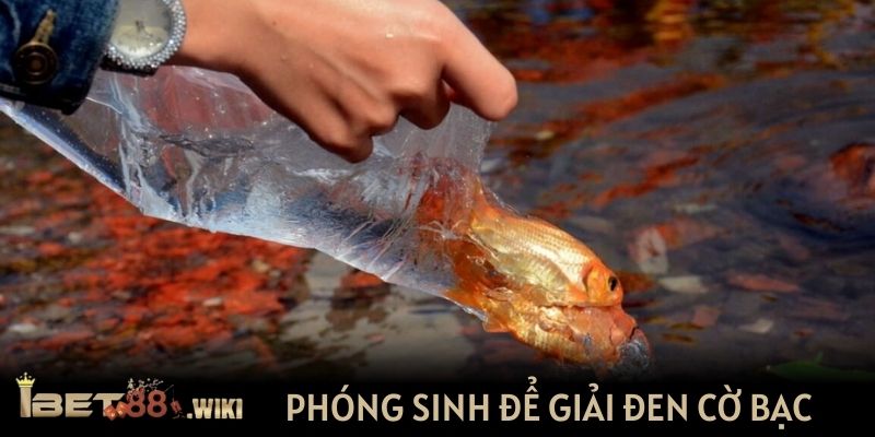 Xua đuổi vận xui bằng cách phóng sinh