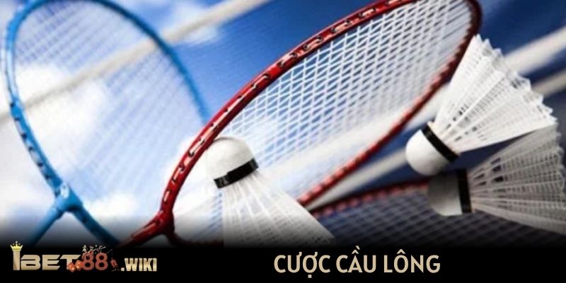 cược cầu lông