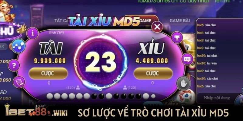 Sơ lược về trò chơi Tài Xỉu MD5