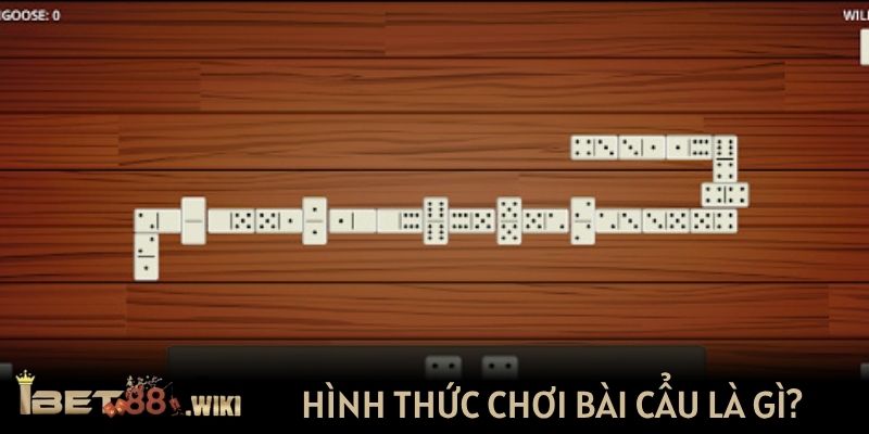 Tìm hiểu về hình thức chơi bài cẩu là gì?