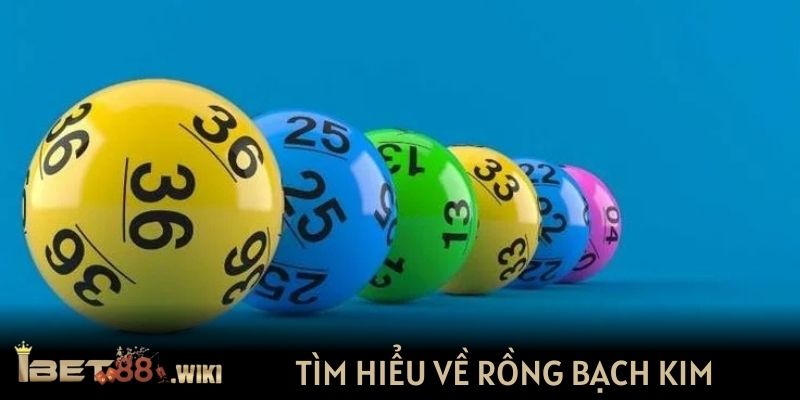 Tìm hiểu về Rồng Bạch Kim